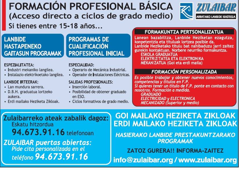 Formación profesional básica, Ciclos y Formación personalizada