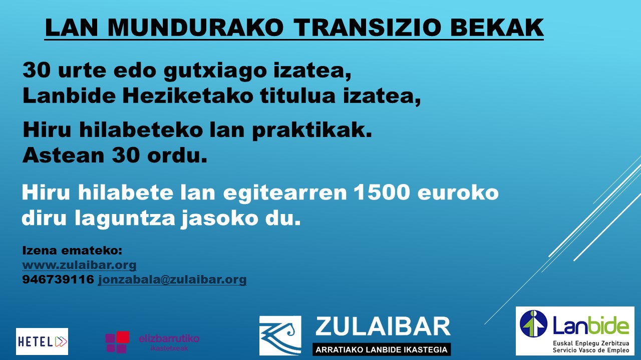 LAN MUNDURAKO TRANSIZIO BEKAK